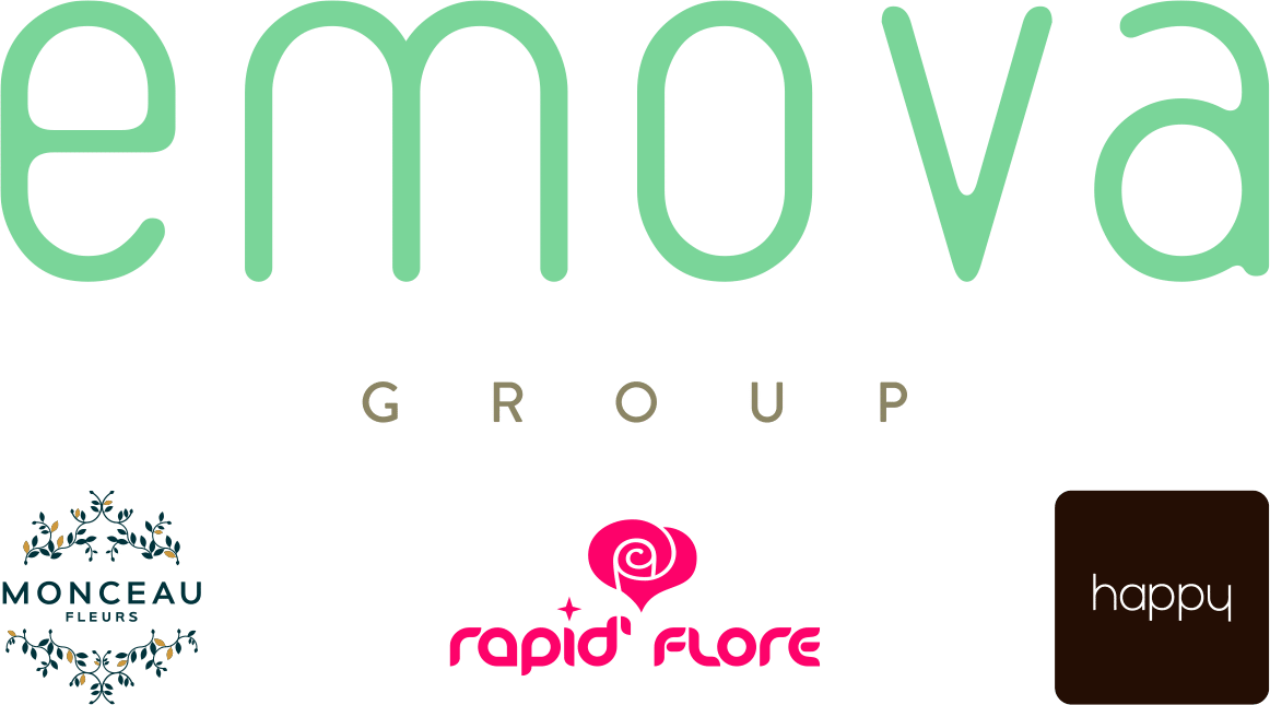 Le Logo d'Emova Group