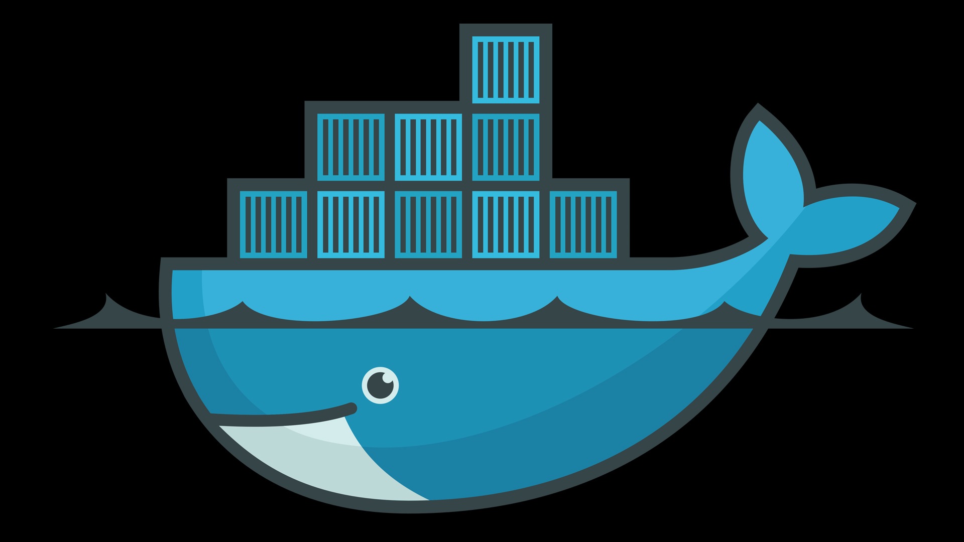 Docker wait. Docker. Игра docker. Docker Hub logo. Docker картинка для презентации.