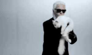 Karl Lagerfeld était aussi un « Kaiser » de la photo de mode