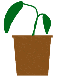 Utiliser Illustrator pour créer l'illustration d'une plante avec l'outil plume