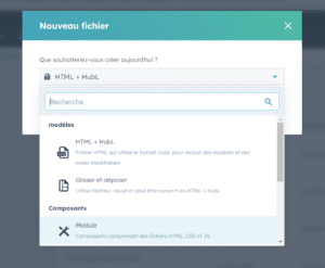 Comment créer un module personnalisé HubSpot pour l'email marketing