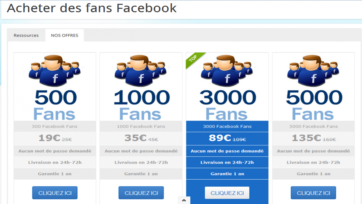 Exemple de site permettant d'acheter des fans Facebook