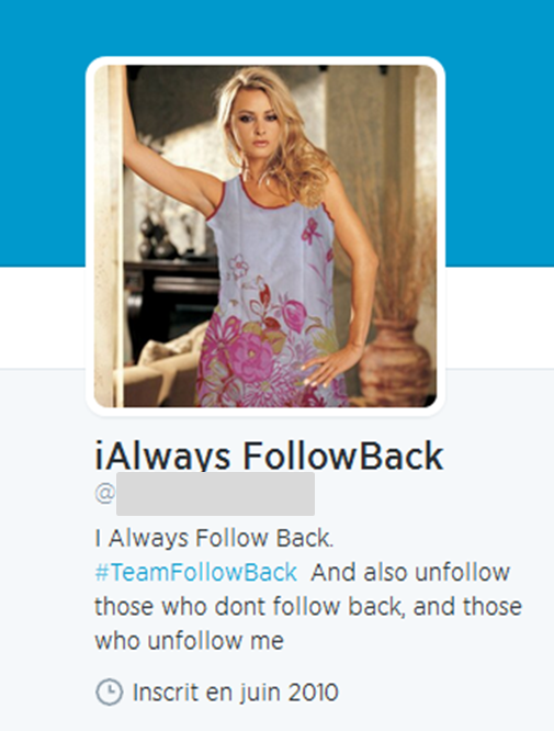 Exemple de profil Twitter #followback