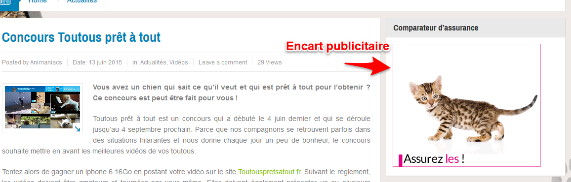 Encart publicitaire sur un blog animalier